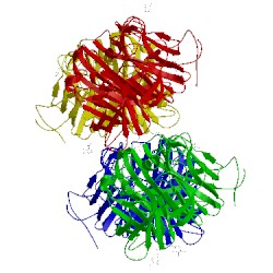 Image of CATH 2x9m