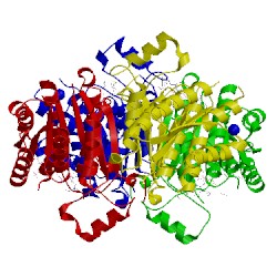 Image of CATH 2x9n