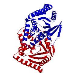 Image of CATH 2x9q