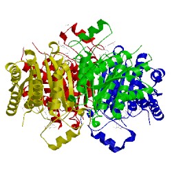 Image of CATH 2x9v