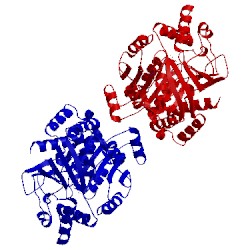Image of CATH 2xa2