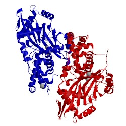 Image of CATH 2xam
