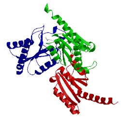 Image of CATH 2xb9