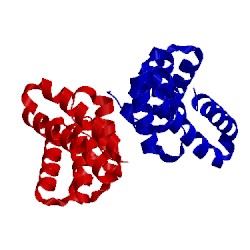 Image of CATH 2xcc