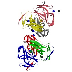 Image of CATH 2xcd