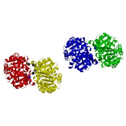 Image of CATH 2xci