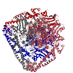 Image of CATH 2xcr