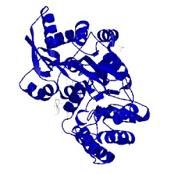 Image of CATH 2xd3
