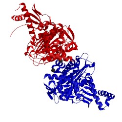 Image of CATH 2xd5
