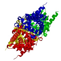 Image of CATH 2xdn