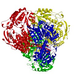 Image of CATH 2xdr