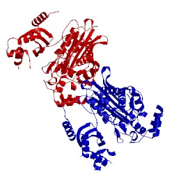 Image of CATH 2xep