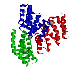 Image of CATH 2xev