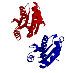 Image of CATH 2xfa