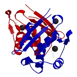 Image of CATH 2xfv
