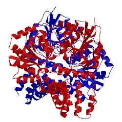 Image of CATH 2xgm