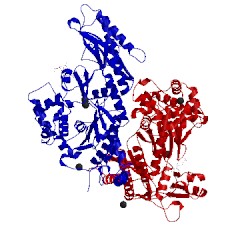 Image of CATH 2xgq