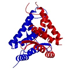 Image of CATH 2xgu