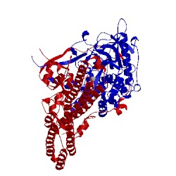 Image of CATH 2xhl