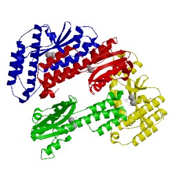 Image of CATH 2xi7