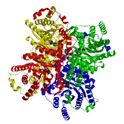 Image of CATH 2xin