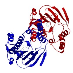Image of CATH 2xjj