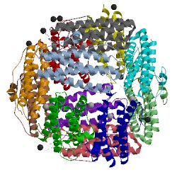 Image of CATH 2xkq