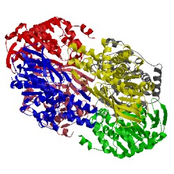 Image of CATH 2xlc
