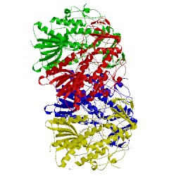 Image of CATH 2xlu