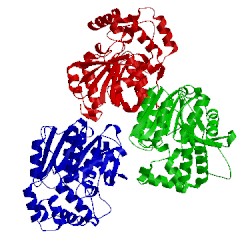 Image of CATH 2xmq