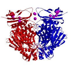 Image of CATH 2xn0