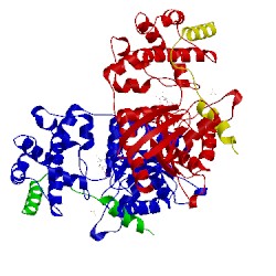 Image of CATH 2xns