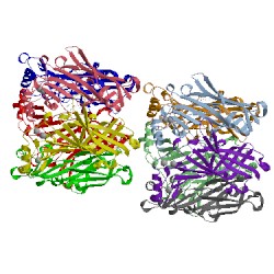 Image of CATH 2xnt