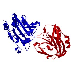 Image of CATH 2xpe