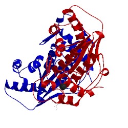 Image of CATH 2xph