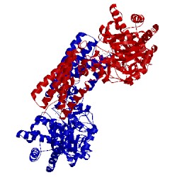 Image of CATH 2xpk