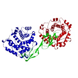 Image of CATH 2xqw