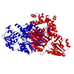 Image of CATH 2xr1