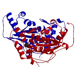 Image of CATH 2xre