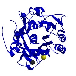 Image of CATH 2xrm