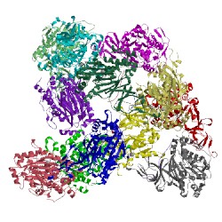 Image of CATH 2xrx