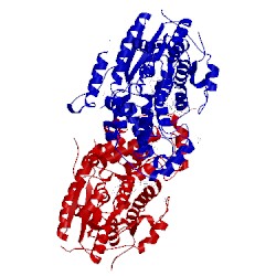 Image of CATH 2xrz