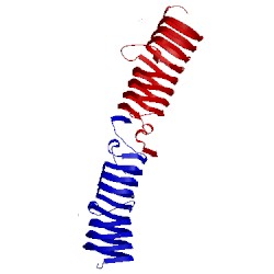 Image of CATH 2xt2