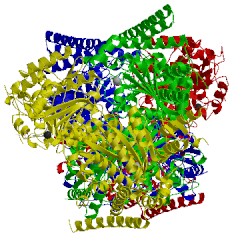 Image of CATH 2xta