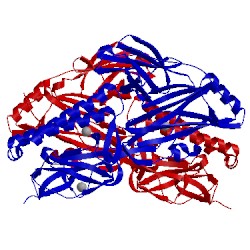 Image of CATH 2xtl