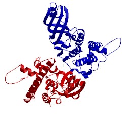 Image of CATH 2xtr