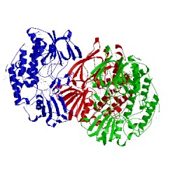 Image of CATH 2xvf