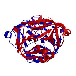 Image of CATH 2xwa