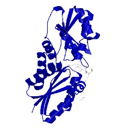 Image of CATH 2xwp