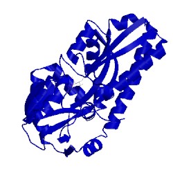 Image of CATH 2xwv